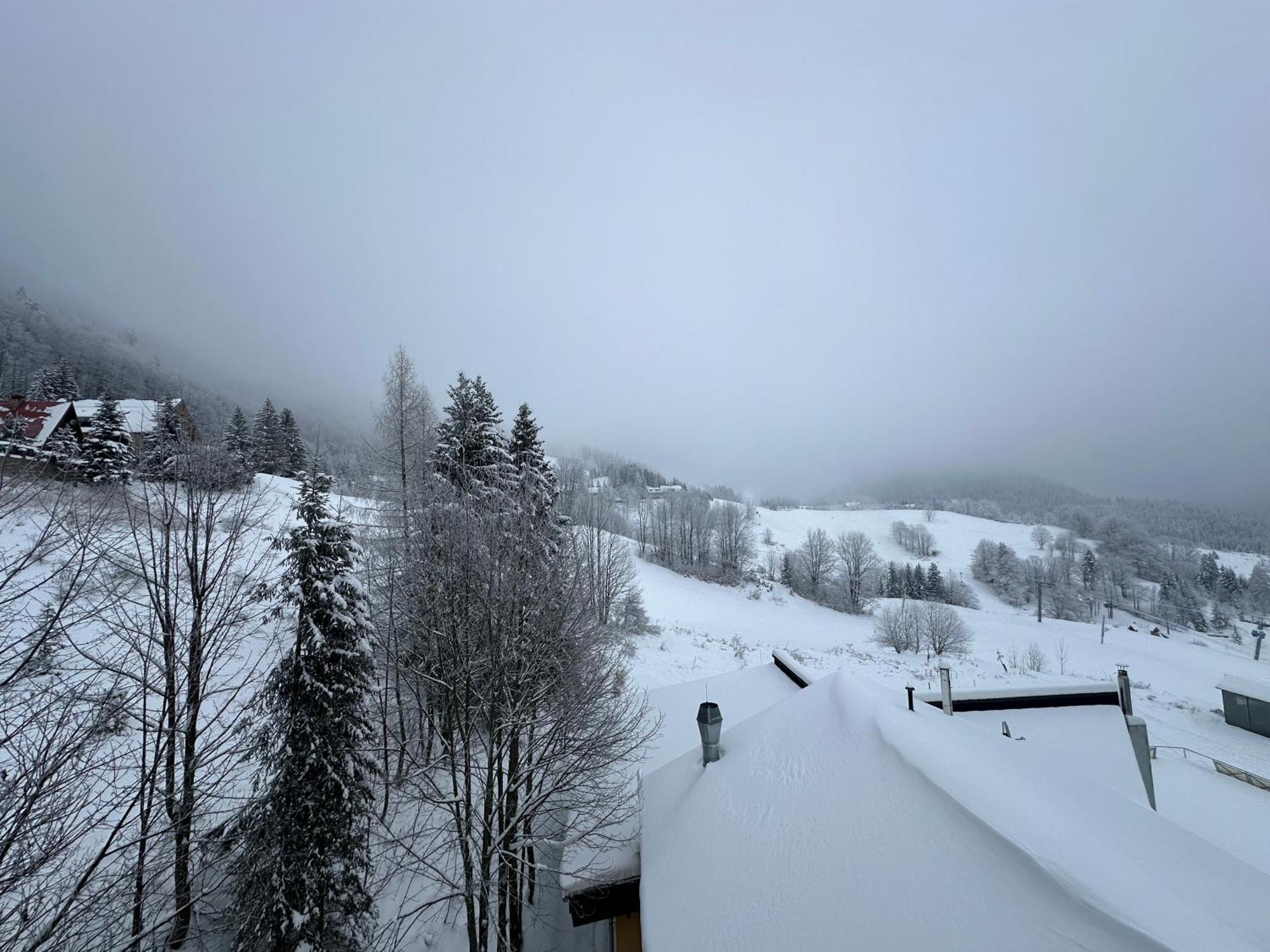 Apartman Forest View Donovaly Exteriér fotografie